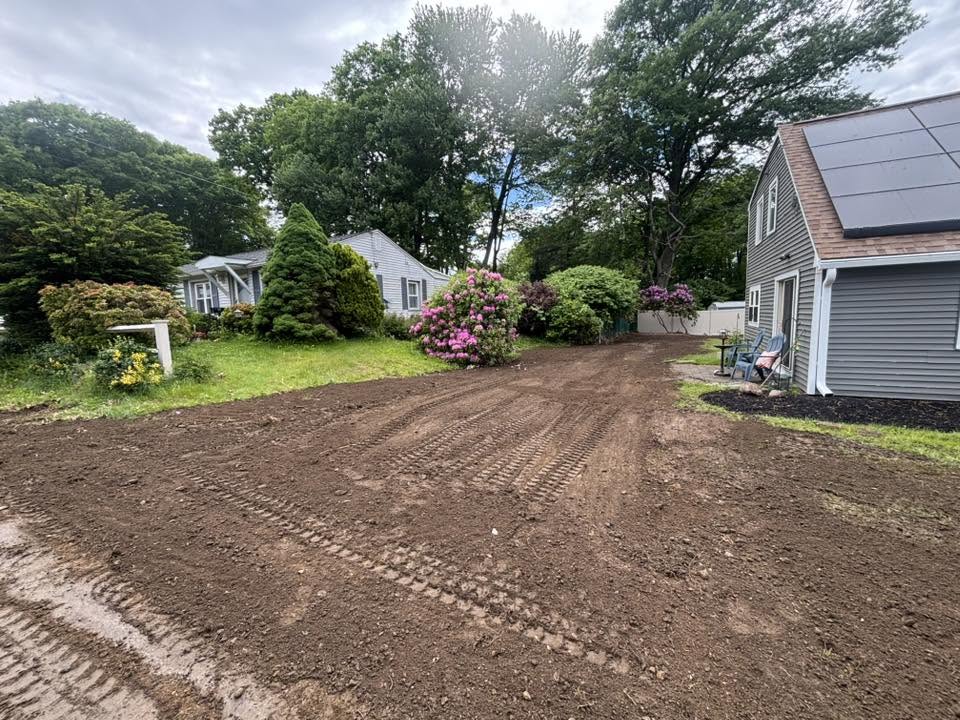 Knotweed root excavation in progress with mini excavator — Auburn, MA